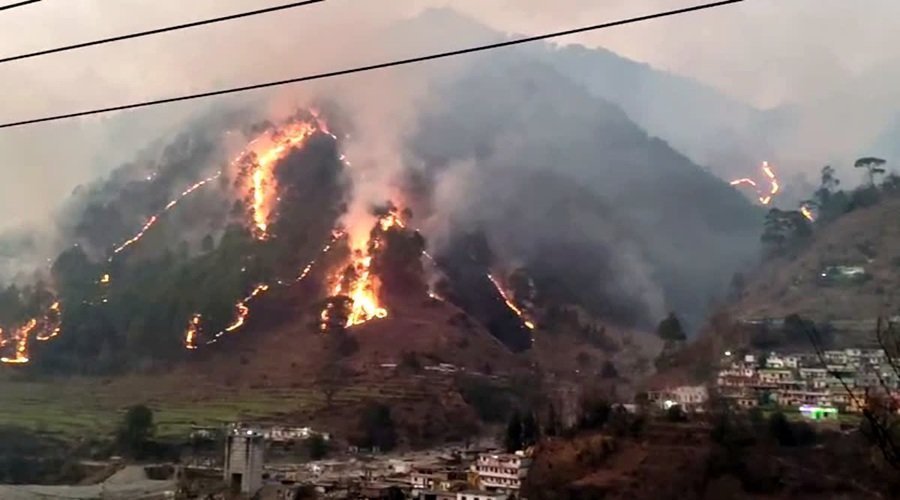 उत्तराखंड : भीषण हुई जंगल की आग, 20 हेक्टेयर से अधिक क्षेत्र जलकर राख, गौशालाओं और गांवों पर खतरा