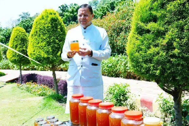 CM धामी ने किया शहद उत्पादन का अवलोकन, 45 दिनों में 520 किलो उत्पादन